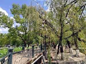 Kunming - Parc Cuihu - 54